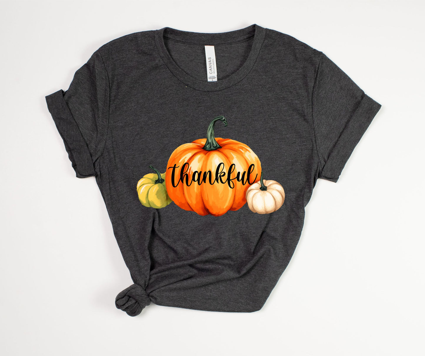 Thankful Pumpkins T-Shirt