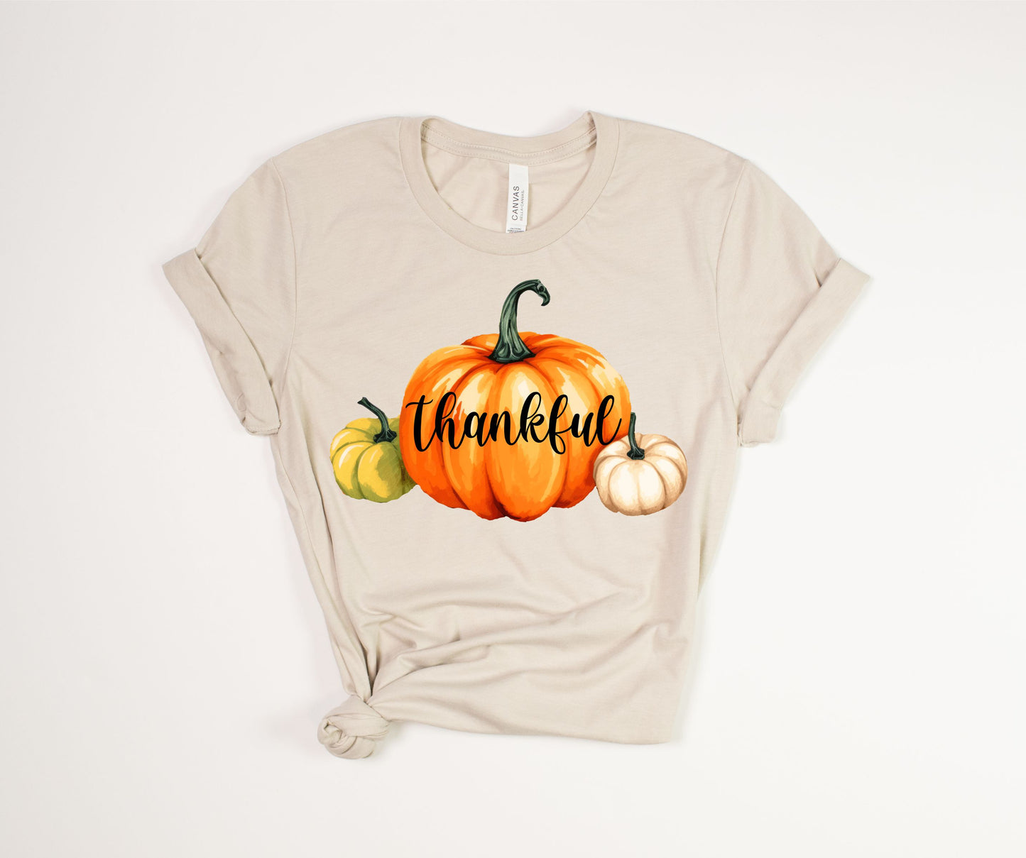 Thankful Pumpkins T-Shirt