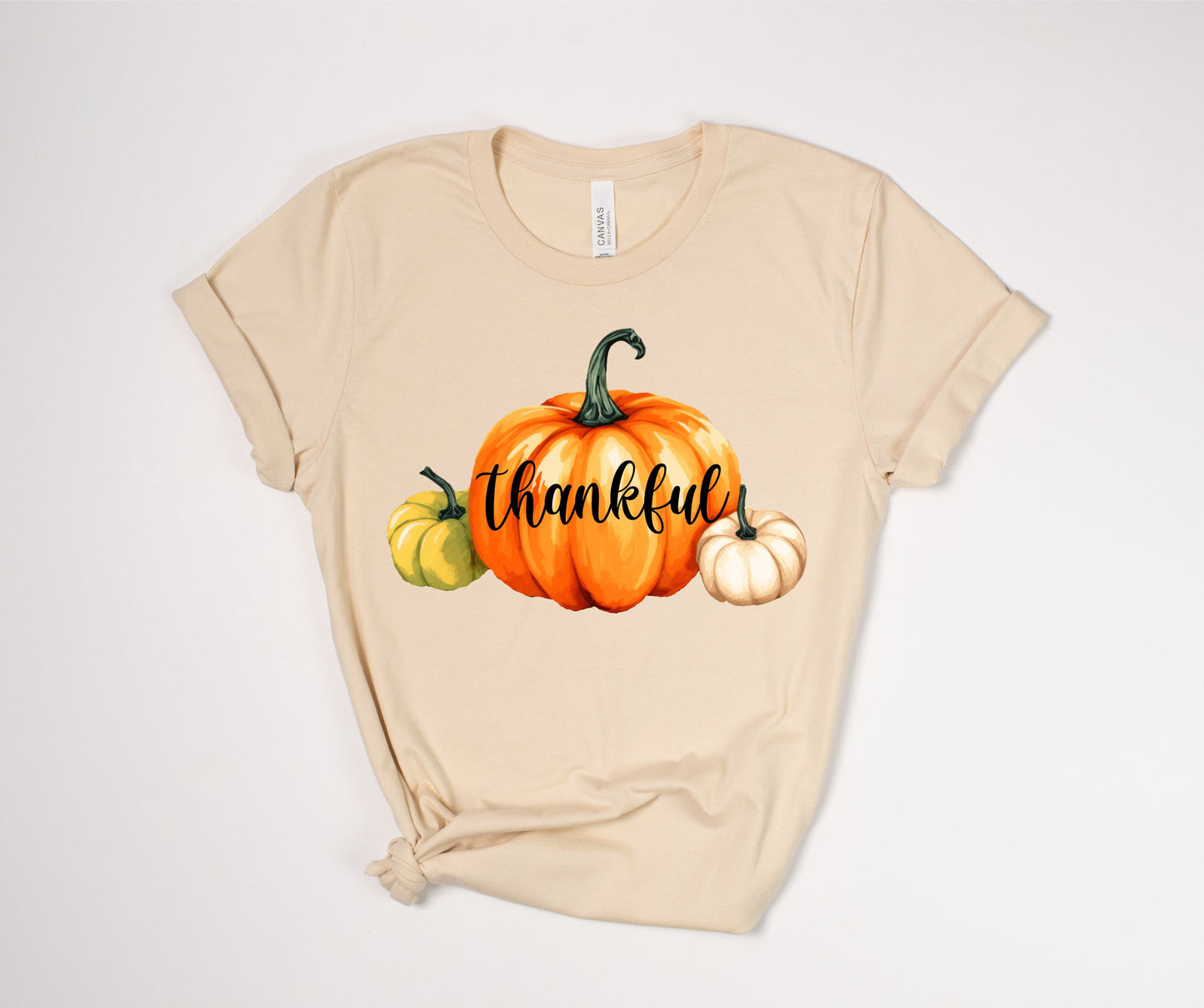 Thankful Pumpkins T-Shirt